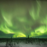 Jeris week 45 12-5514